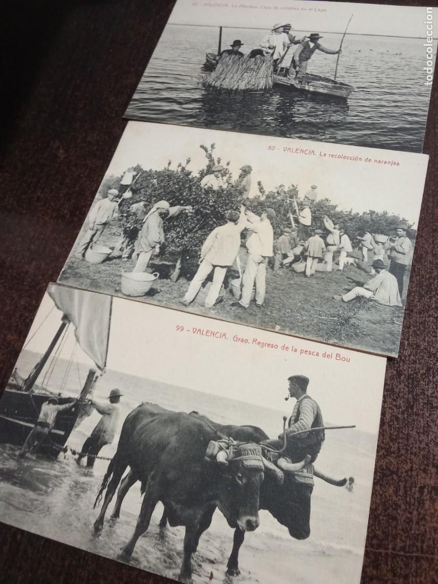 Postales: Valencia.La Albufera, recoleccion de naranjas, Pesca del Bou.