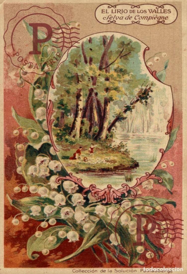 Cartes Postales: PUBLICIDAD. PUBLICITE. ESPA&Ntilde;A. EL LIRIO DE LOS VALLE. SELVA DE COMPIEGNE. SOLUCION PAUTAUBERGE.
