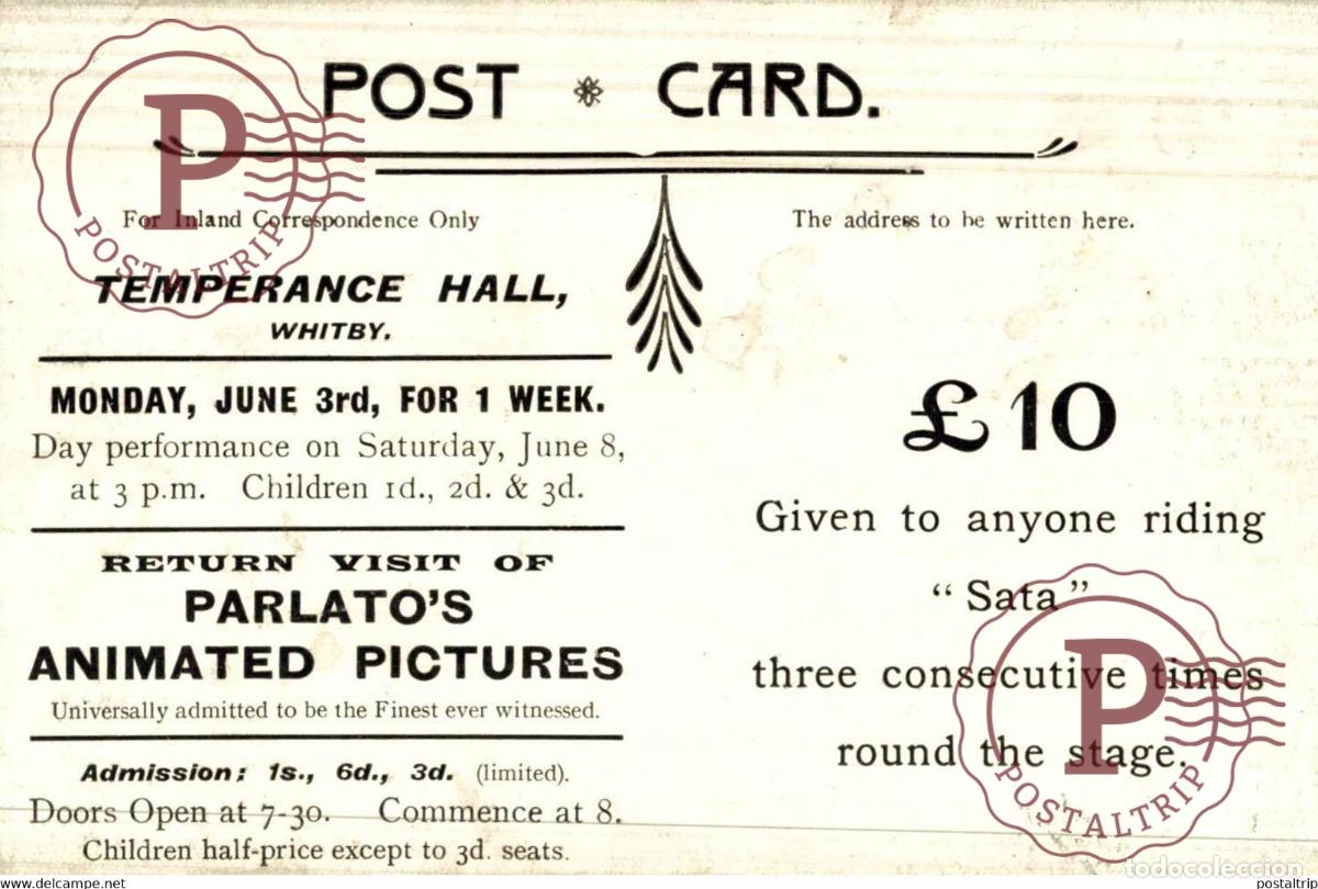 Postales: TEMPERANCE HALL WHITBY ANE DONKEY EZEL ESEL MULES donkeycollection