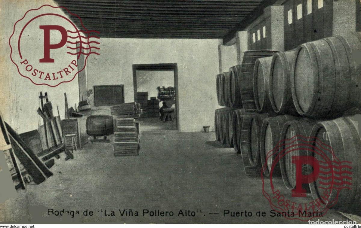 Postkarten: BODEGA LA VI&Ntilde;A POILERO ALTO PUERTO DE SANTA MARIA ESPA&Ntilde;A