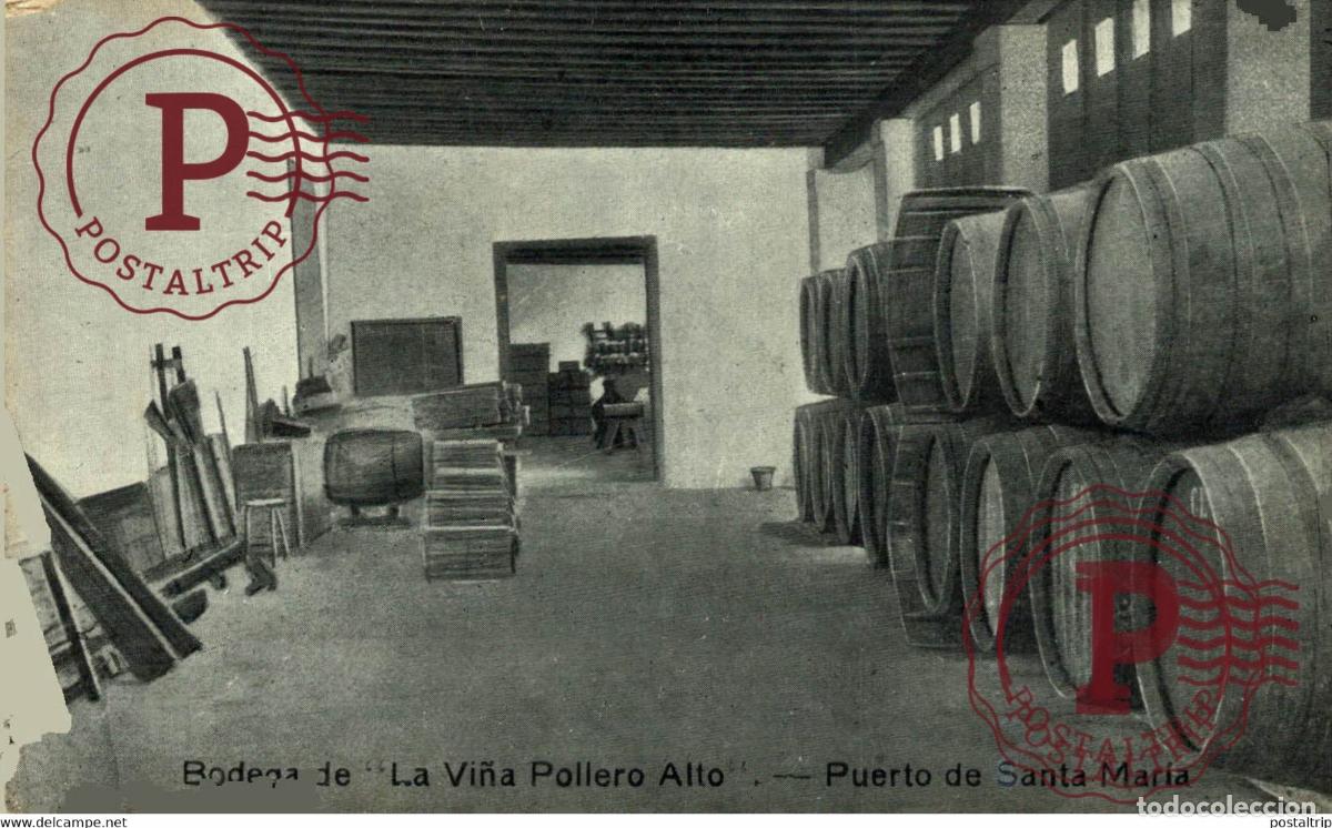 Postkarten: BODEGA LA VI&Ntilde;A POILERO ALTO PUERTO DE SANTA MARIA ESPA&Ntilde;A