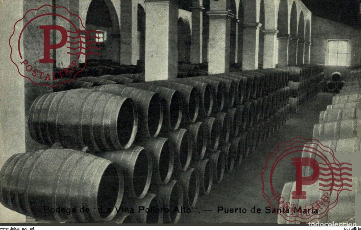 Postkarten: BODEGA LA VI&Ntilde;A POILERO ALTO PUERTO DE SANTA MARIA ESPA&Ntilde;A