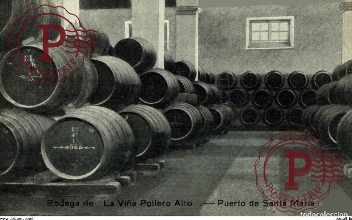 Postkarten: BODEGA LA VI&Ntilde;A POILERO ALTO PUERTO DE SANTA MARIA ESPA&Ntilde;A