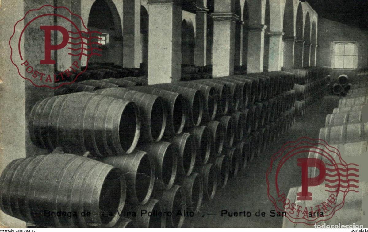 Postkarten: BODEGA LA VI&Ntilde;A POILERO ALTO PUERTO DE SANTA MARIA ESPA&Ntilde;A