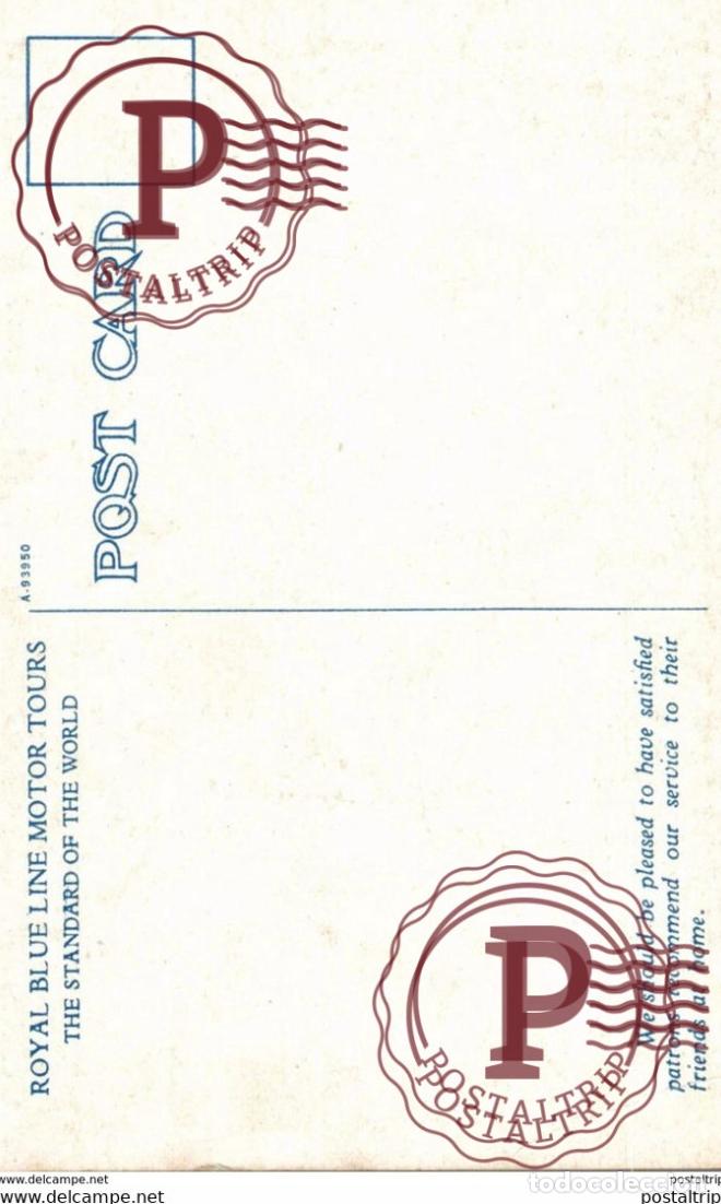 Postales: ROYAL BLUE LINE MOTOR TOURS - Foto 2