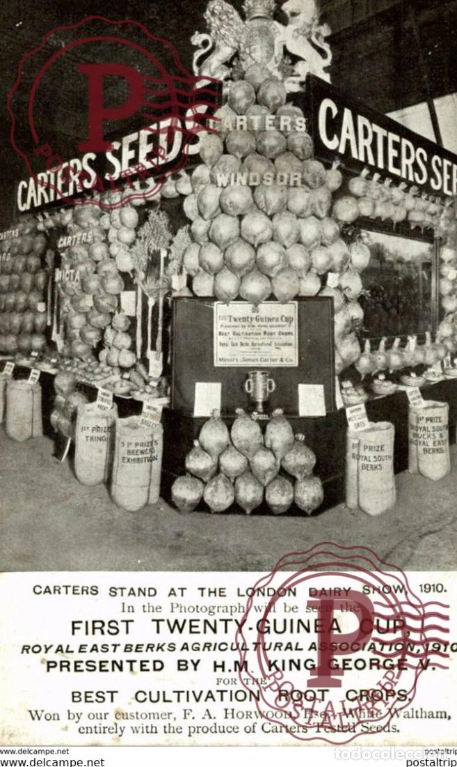 Cartoline: CARTERS SEEDS WINDSOR LONDON DAIRY SHOW 1910