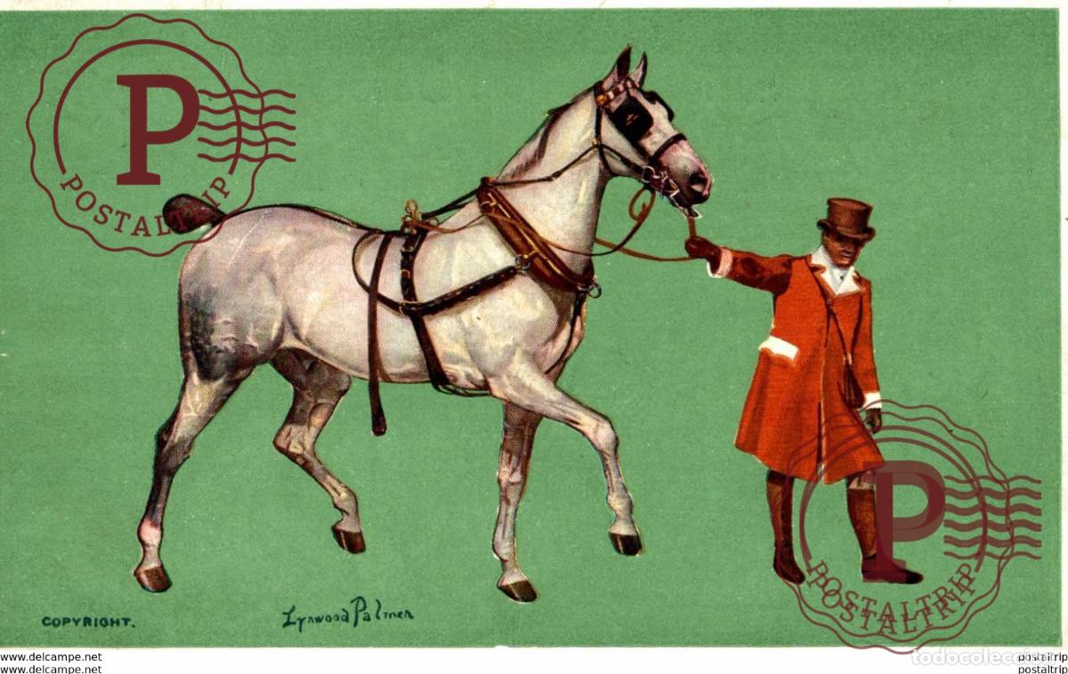 Postkarten: 1908 PUBL INTERNATIONAL HORSE SHOW OLYMPIA LONDON