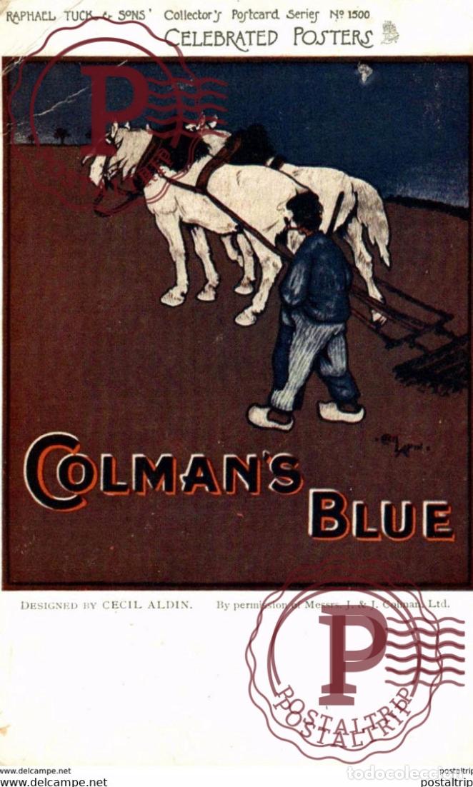 Postkarten: TUCK CELEBRATED POSTER ADVERTISING POSTCARD - COLEMANS BLUE BY CECIL ALDIN, 1500