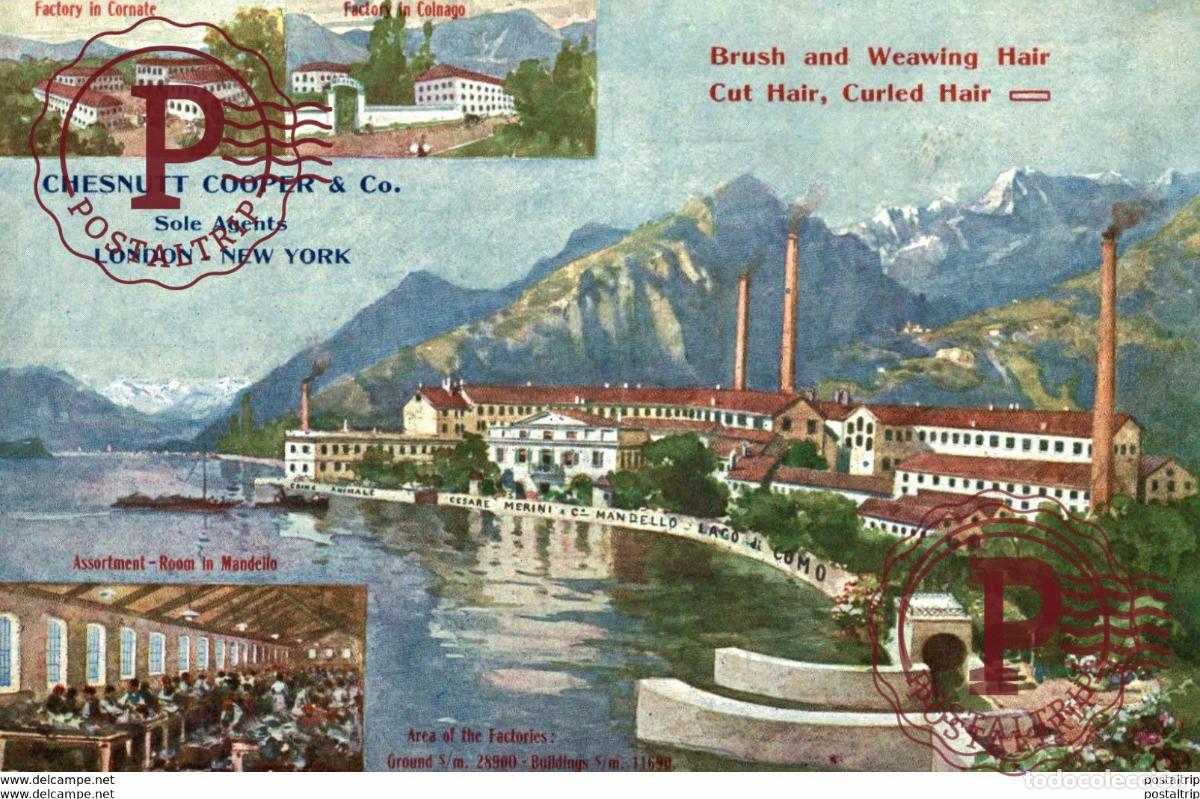 Postkarten: COMMERCIALE CESARE MERINI & C. BRUSH AND WEAWING HAIR, CUT HAIR CURLED HAIR. CHESNUTT COOPER & Co