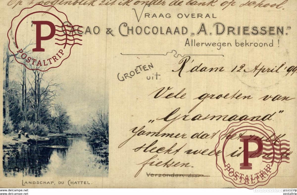 Cartes Postales: 1899 VRAAG OVERAL CACAO CHOCOLAAD A DRIESSEN ALLERWEGEN BEKROOND 1899 Advertising.
