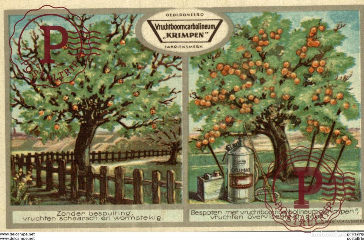 Cartoline: VRUCHTBOOMCARBOLINEUM KRIMPEN NV UAF AFD KOOLTEER UTRECHT Advertising.