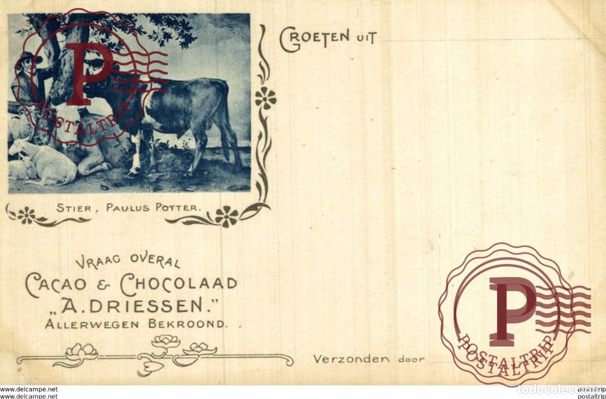 Cartoline: STIER PAULUS POTTER CACAO AND CHOCOLAAD A DRIESSEN Advertising.