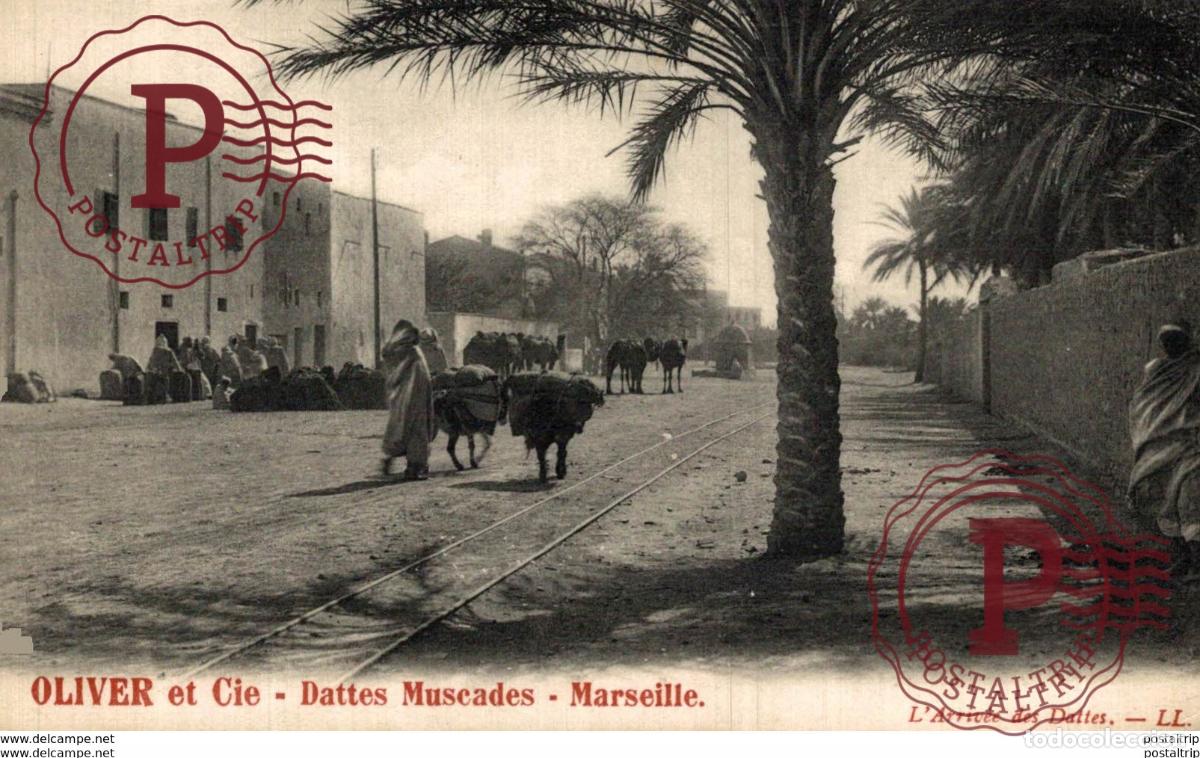 Postcards: OLIVER ET CIE DATTES MUSCADES, MARSEILLE