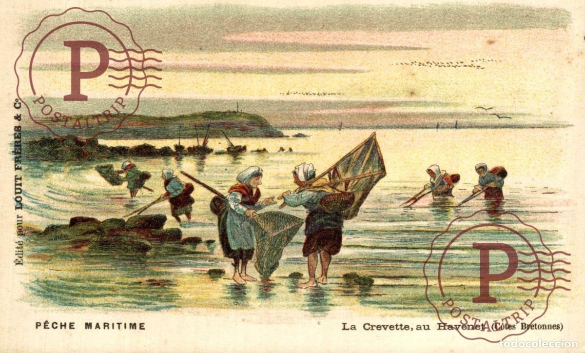 Postales: BARCO BATEAU SHIP. ILUSTRADA. ILLUSTREE. P&ecirc;che Maritime LA CREVETTE, AU HAVENET. CHOCOLAT LOUIT