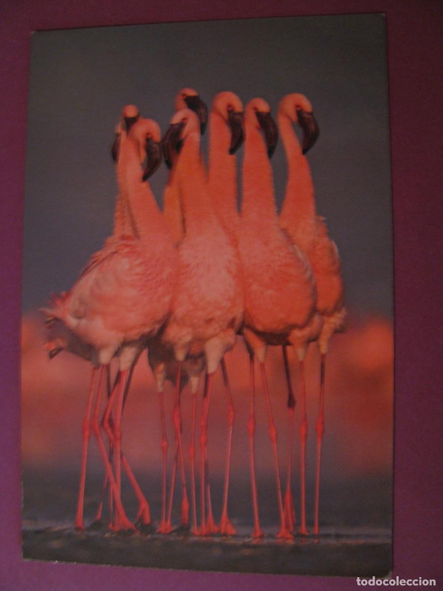 Postales: POSTAL, PUBLICIDAD. EXPOSICION FOTOGRAFICA DE LA NATURALEZA 2007. MALAGA