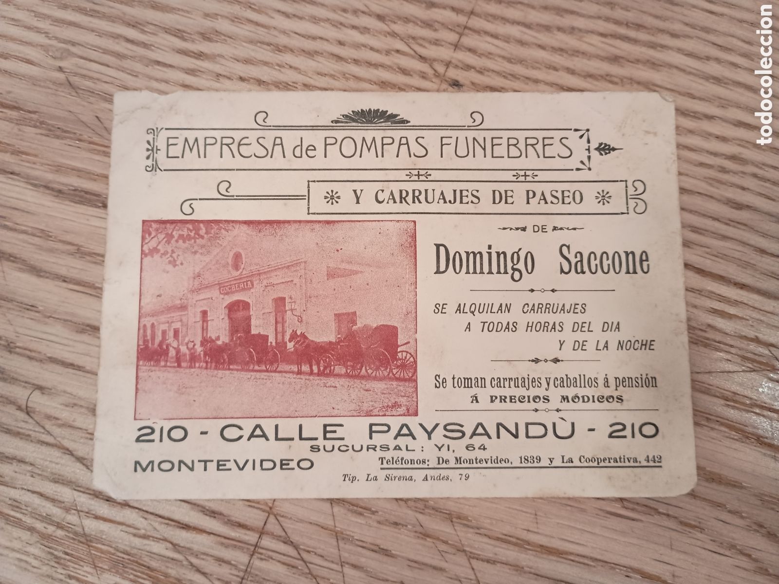 Postales: EMPRESA DE POMPAS F&Uacute;NEBRES Y CARRUAJES DE PASEO DE DOMINGO SACCONE, MONTEVIDEO (URUGUAY)