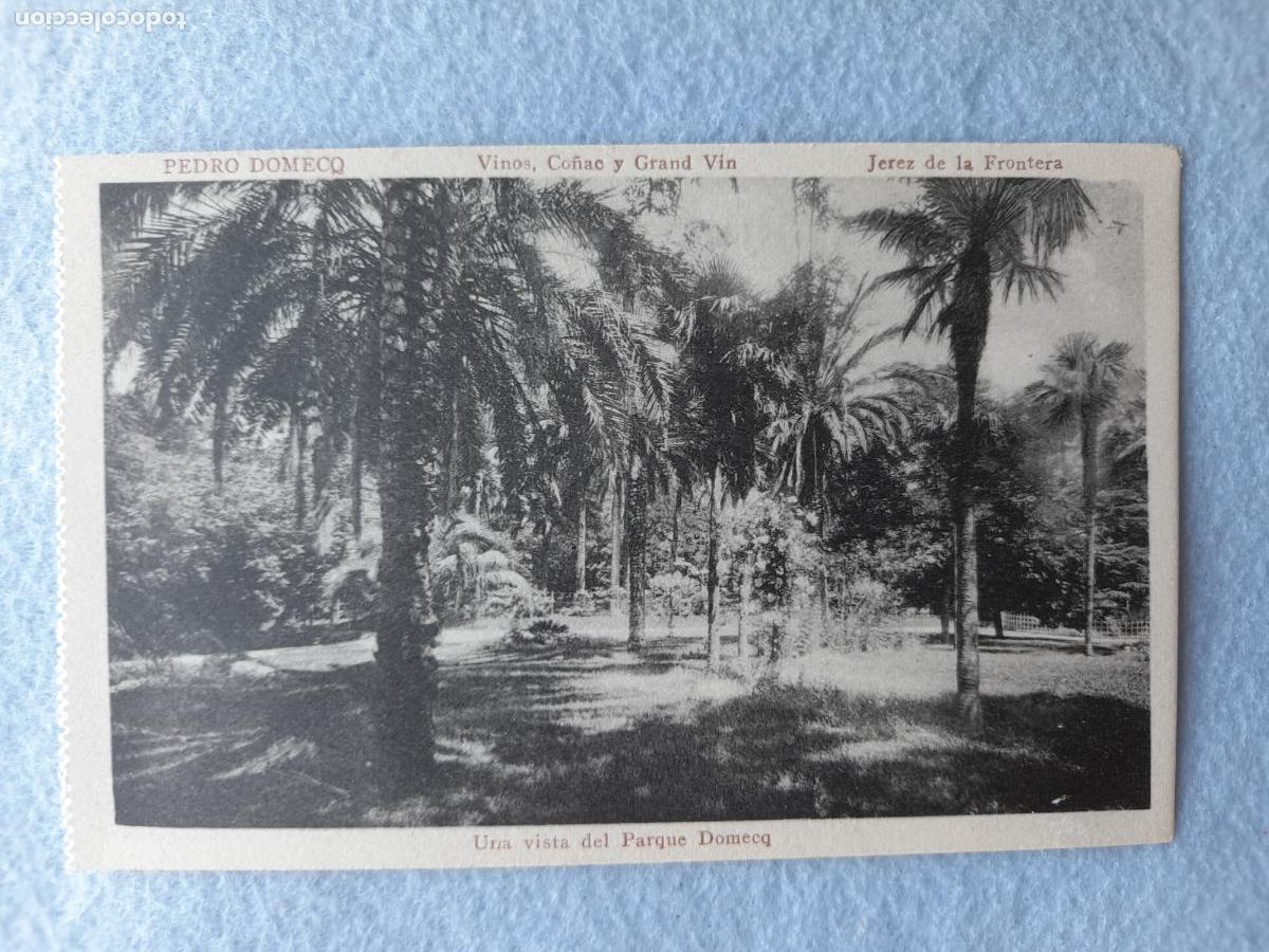 Postales: Postal Publicitaria Antigua. Pedro Domeq. Una Vista del Parque Domeq.