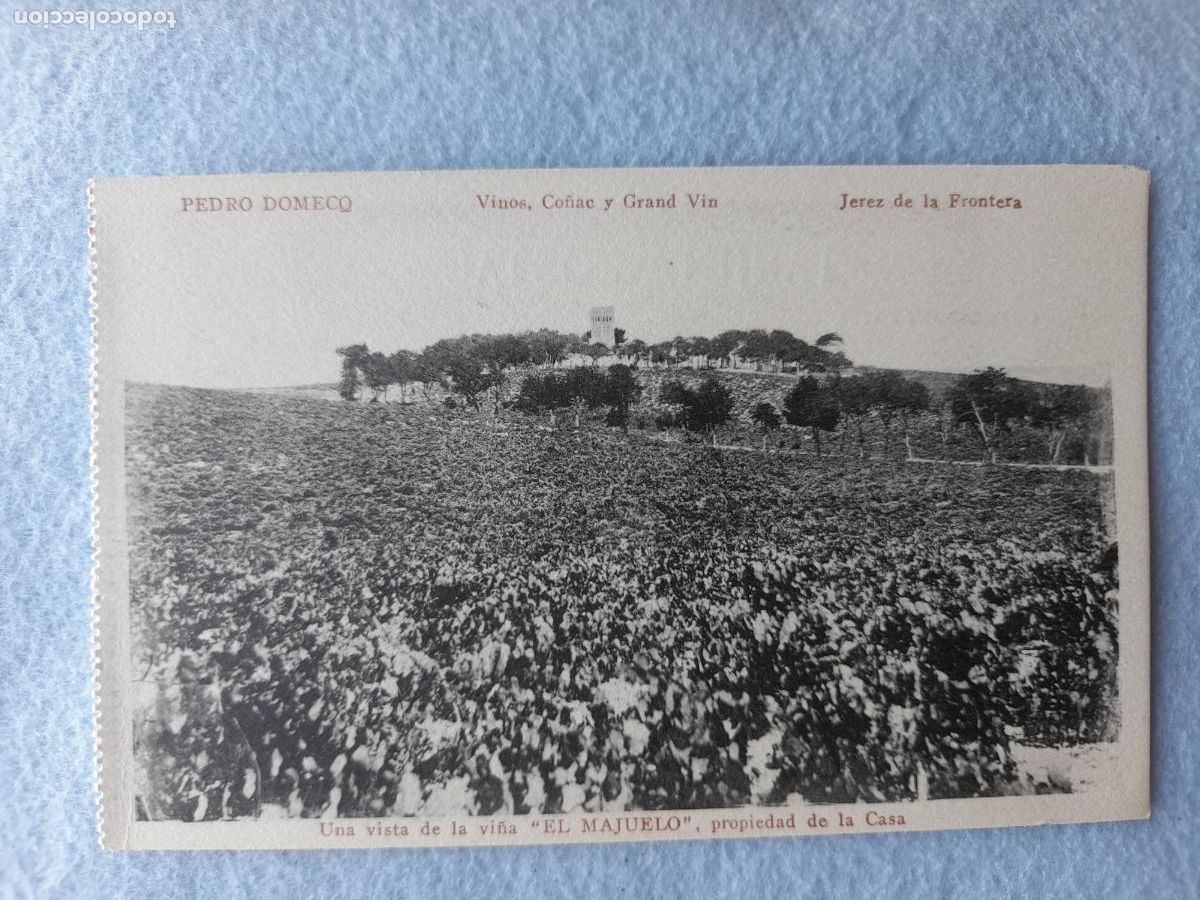 Postales: Postal Publicitaria Antigua. Pedro Domeq. Una Vista de la Vi&ntilde;a El Majuelo.