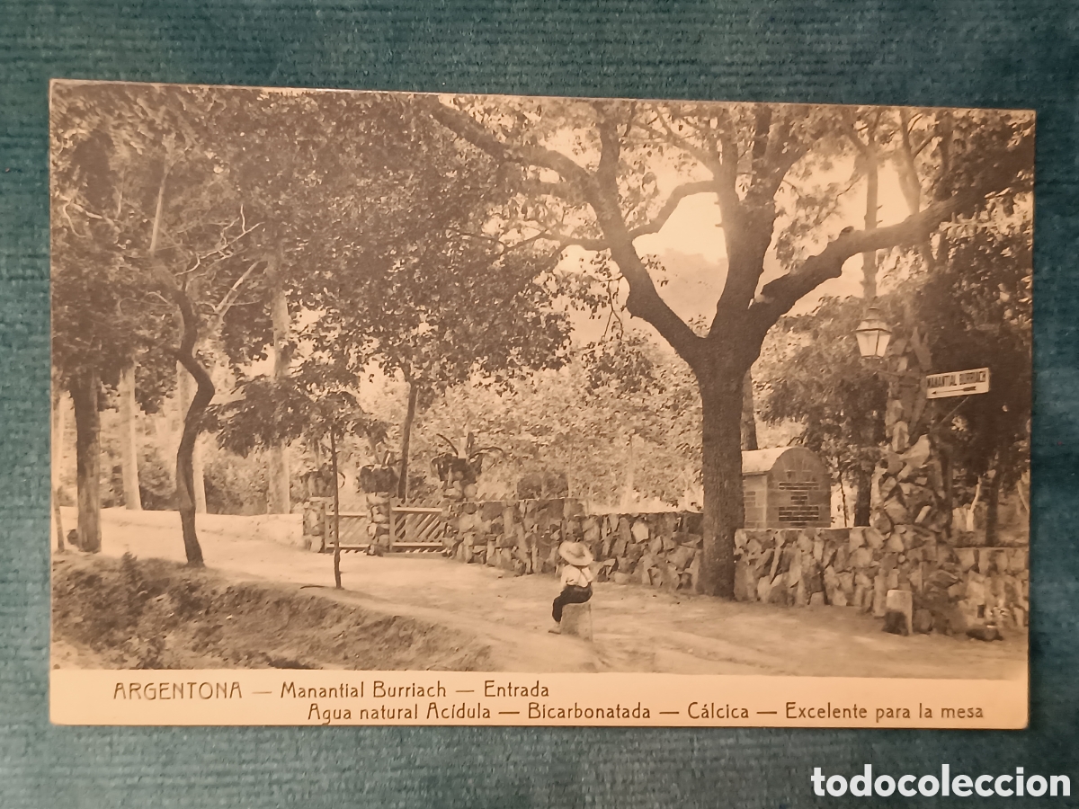 Postales: ARGENTONA. Manantial Burriach. Entrada