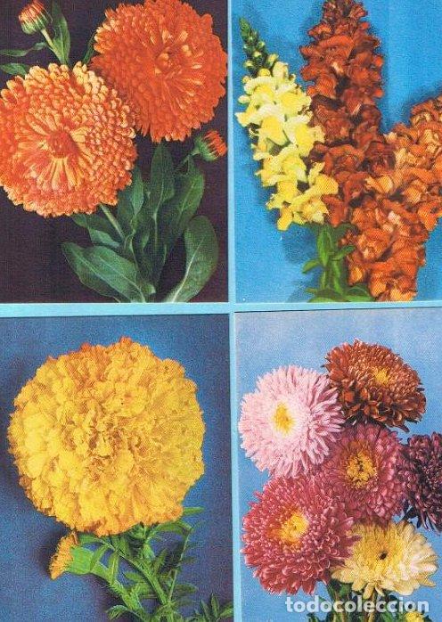 Postales: 12 TARJETAS POSTALES CON REPRODUCCIONES DE FLORES DE FOTOGRAFIAS EN COLOR KODACHROME. KANDA