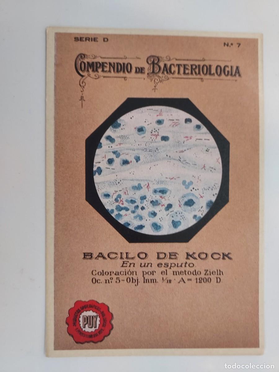 Postales: POSTAL PUBLICITARIA. COMPENDIO DE BACTERIOLOGIA BACILO DE KOCK. HISTORIA GRAFICA SIGLO XX