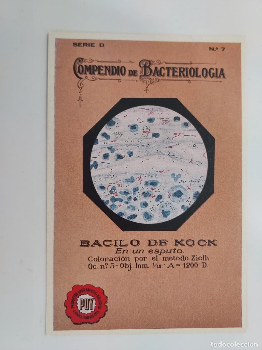 Postales: POSTAL PUBLICITARIA. COMPENDIO DE BACTERIOLOGIA BACILO DE KOCK. HISTORIA GRAFICA SIGLO XX