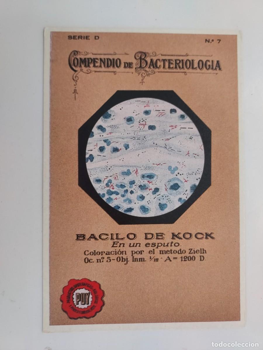 Postales: POSTAL PUBLICITARIA. COMPENDIO DE BACTERIOLOGIA BACILO DE KOCK. HISTORIA GRAFICA SIGLO XX