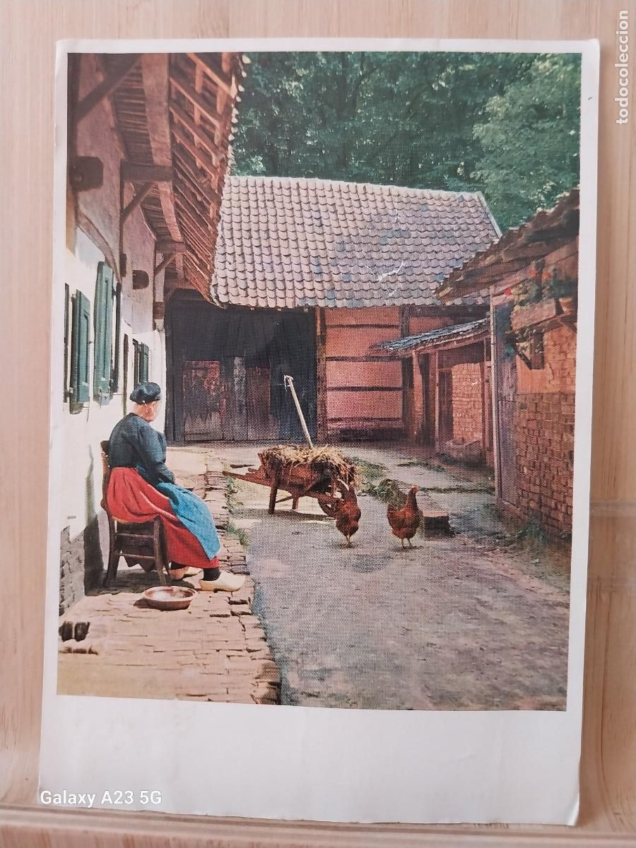 Postales: COMPRIMIDOS RABRO PROMOCIONAL LABORATORIOS FARMACIA MUJER CON GALLINAS POSTAL HOLANDA