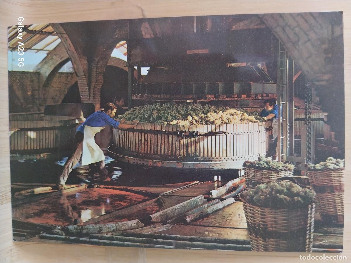 Postales: PRENSADO UVA CODORNIU CAVA POSTAL SC VINTAGE ORIGINAL ANIMADA PUBLICITARIA