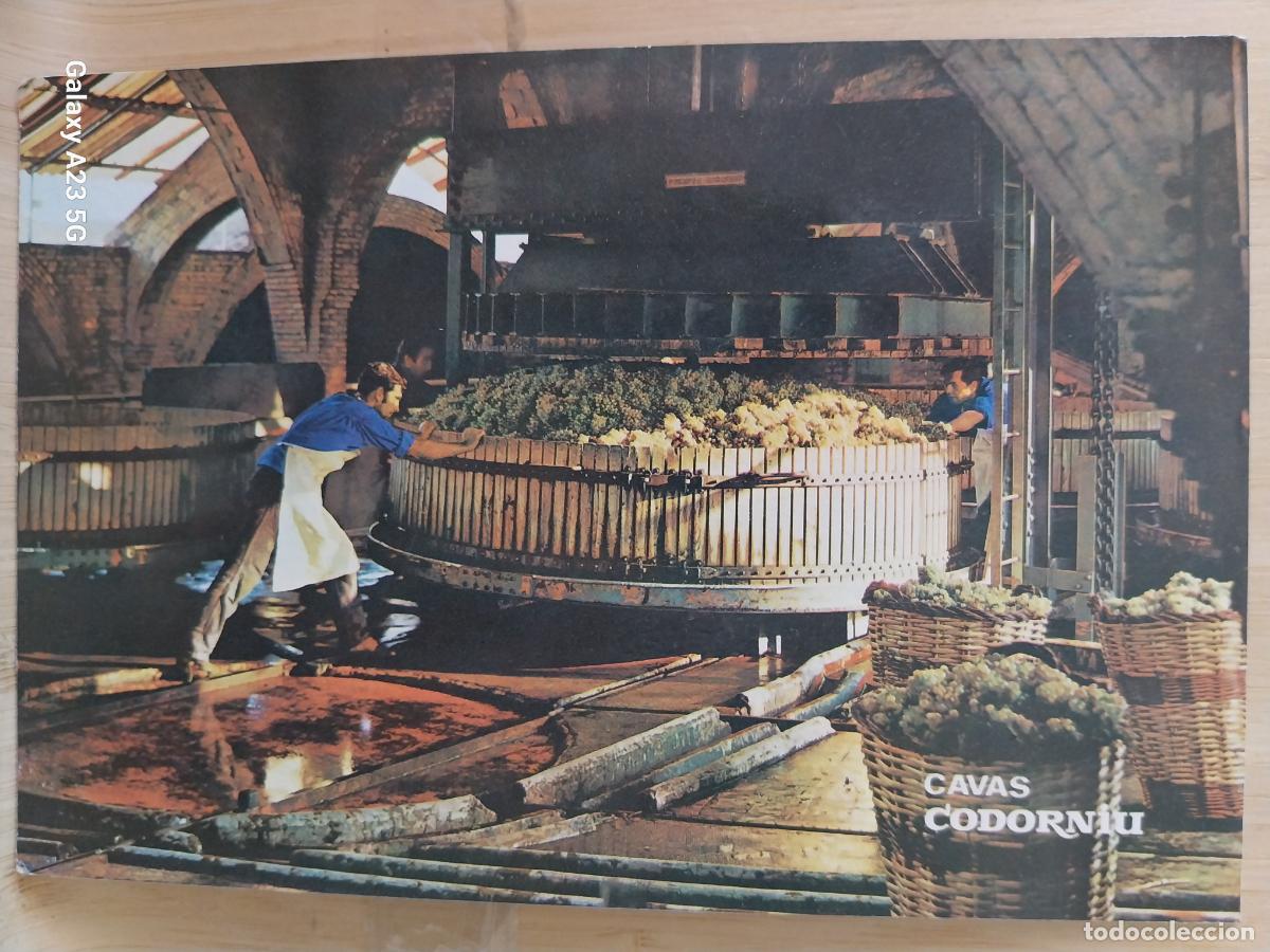 Postales: PRENSADO UVA CODORNIU CAVA POSTAL SC VINTAGE ORIGINAL ANIMADA PUBLICITARIA *