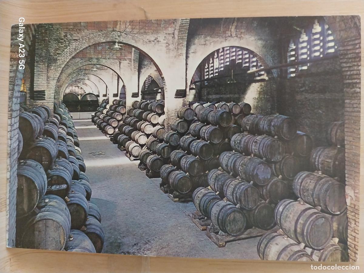 Postales: CODORNIU CAVA BODEGA POSTAL SC VINTAGE ORIGINAL ANIMADA PUBLICITARIA **