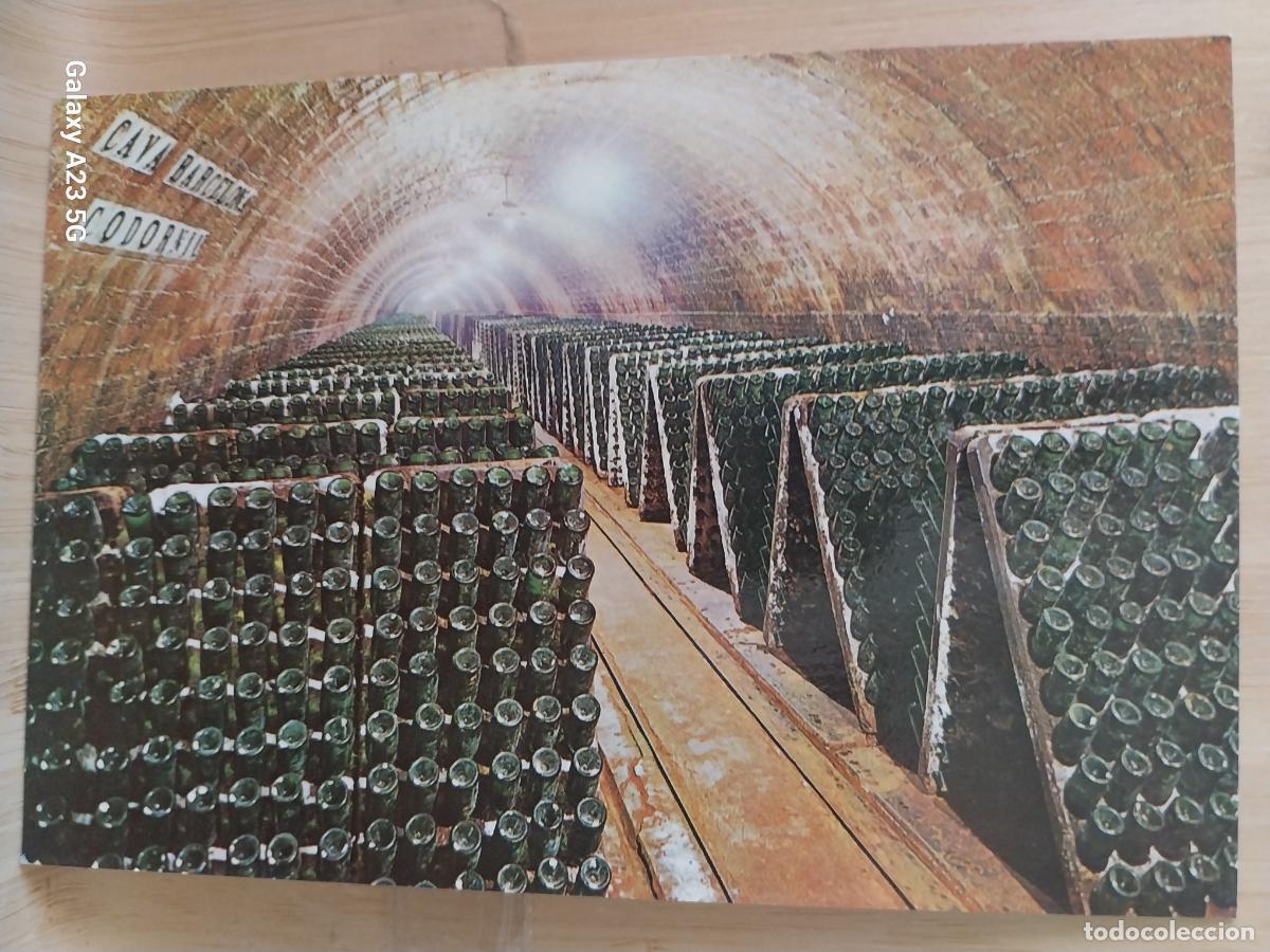 Postales: CODORNIU CAVA BOTELLAS PUPITRE SC VINTAGE ORIGINAL PUBLICITARIA **+ A&Ntilde;O 1976