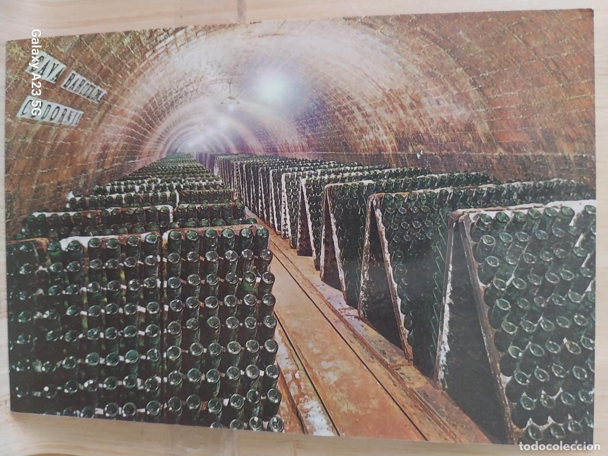 Postales: CODORNIU CAVA BOTELLAS PUPITRE SC VINTAGE ORIGINAL PUBLICITARIA *+ A&Ntilde;O 1976
