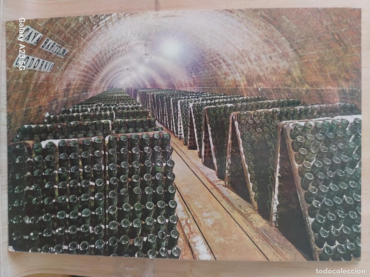 Postales: CODORNIU CAVA BOTELLAS PUPITRE SC VINTAGE ORIGINAL PUBLICITARIA + A&Ntilde;O 1976