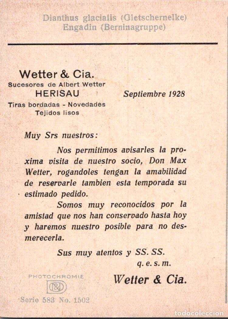 Postales: Wetter & Cia. - Septiembre 1928 - Postal anunciando visita - D&N 583/1502 - 138x88mm - Bordados
