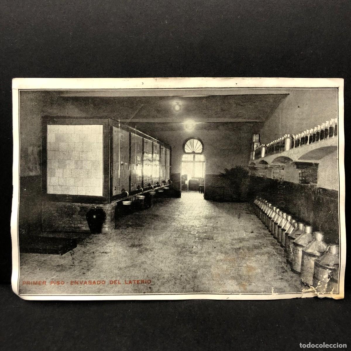 Postales: PRIMER PISO, ENVASADO DEL LATERIO - EXCELSOS - ACEITES PUROS DE OLIVA - L&Eacute;RIDA - POSTAL / 5448