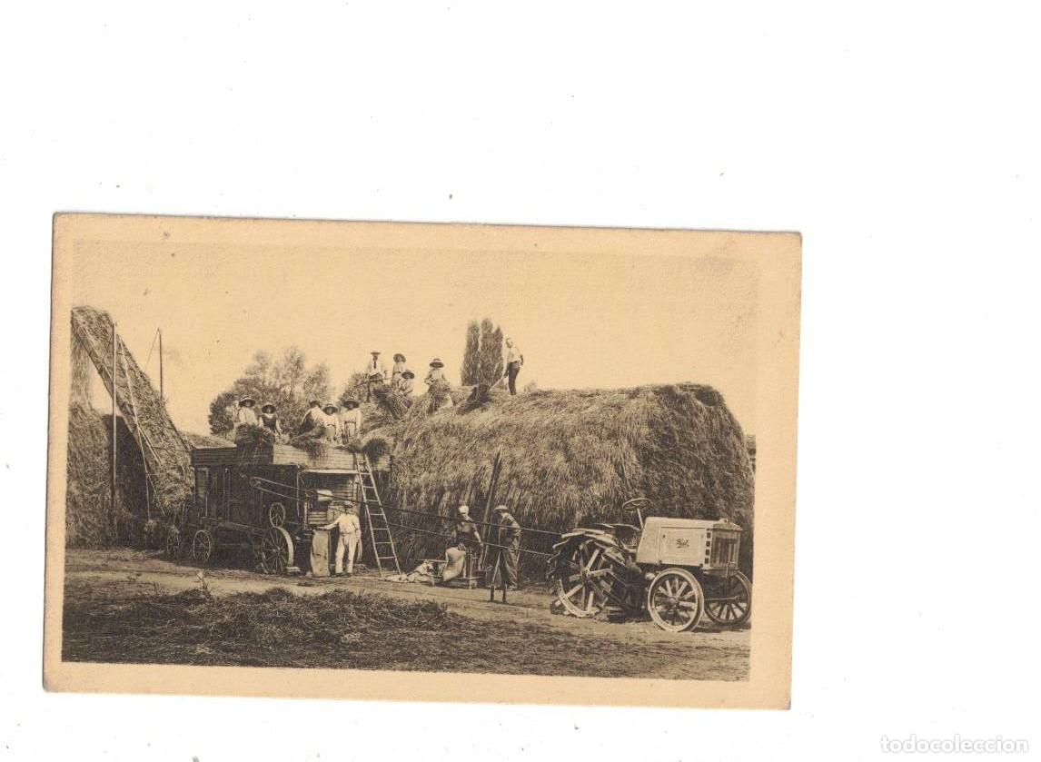 Postales: TRILLADORA DE CEREALES. TREBBIATURA. FIAT