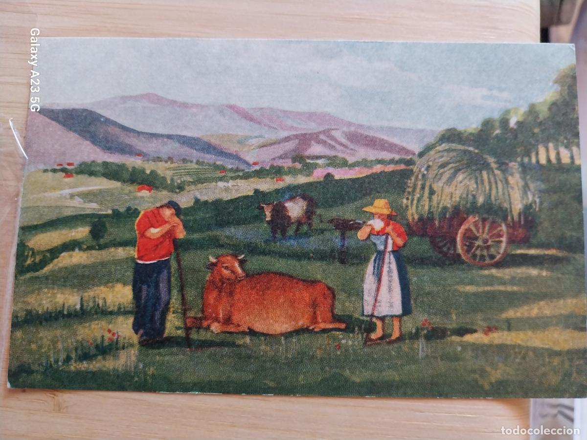 Cartoline: ANTIFERMENTOLINA M PINO MEDICAMENTE PUBLICIDAD POSTAL ILUSTRACION A&Ntilde;OS 50
