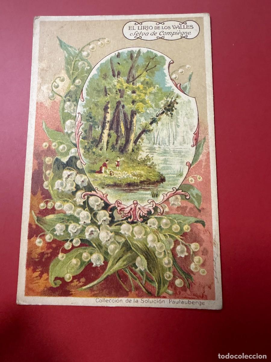 Postales: TARJETA PUBLICITARIA - SOLUCI&Oacute;N PAUTAUBERGE - EL LIRIO DE LOS VALLES - SELVA DE COMPI&Egrave;GNE