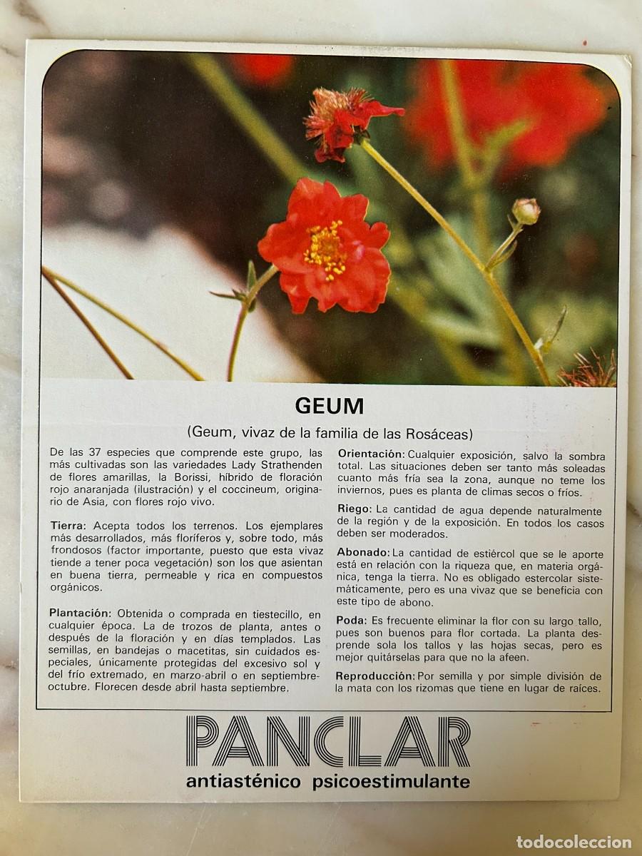 Postales: GEUM - FICHA COLECCIONABLE CON PUBLICIDAD DE PANCLAR DE LABORATORIOS MADE 1977