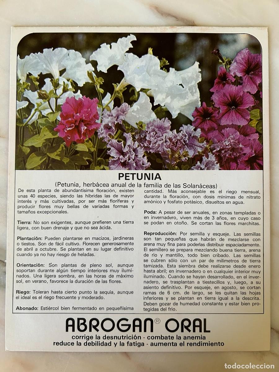 Postales: PETUNIA - FICHA COLECCIONABLE CON PUBLICIDAD DE ABROGAN ORAL DE LABORATORIOS MADE 1977