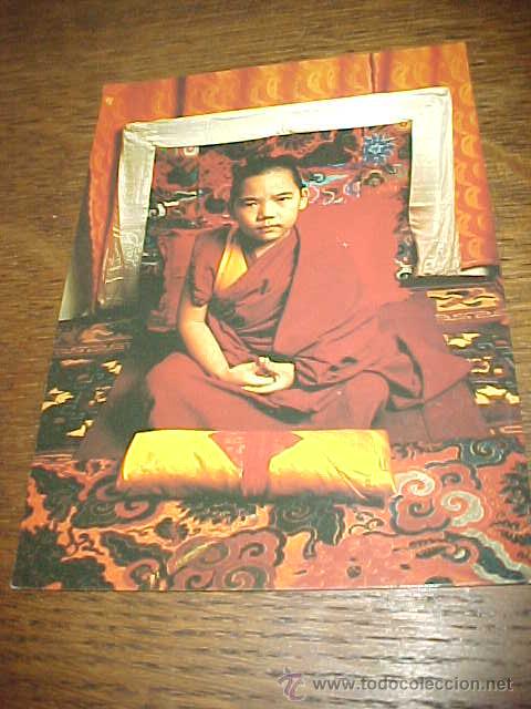 Cartes Postales: POSTAL TIBETANA. REINCARNATION OF SERKONG TSENSHAB RINPOCHE, BORN 1984. EDICION DE SUIZA.