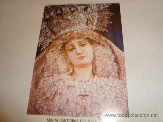 Cartoline: estampa virgen , maria santisima del patrocinio, cadiz