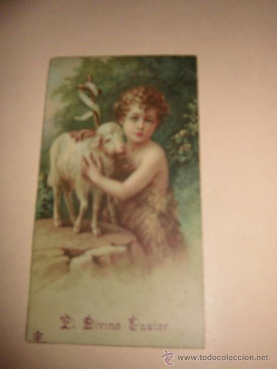 Cartoline: ESTAMPA EL DIVINO PASTOR