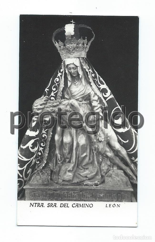 Postales: NUESTRA SE&Ntilde;ORA DEL CAMINO. LE&Oacute;N. - Foto 1