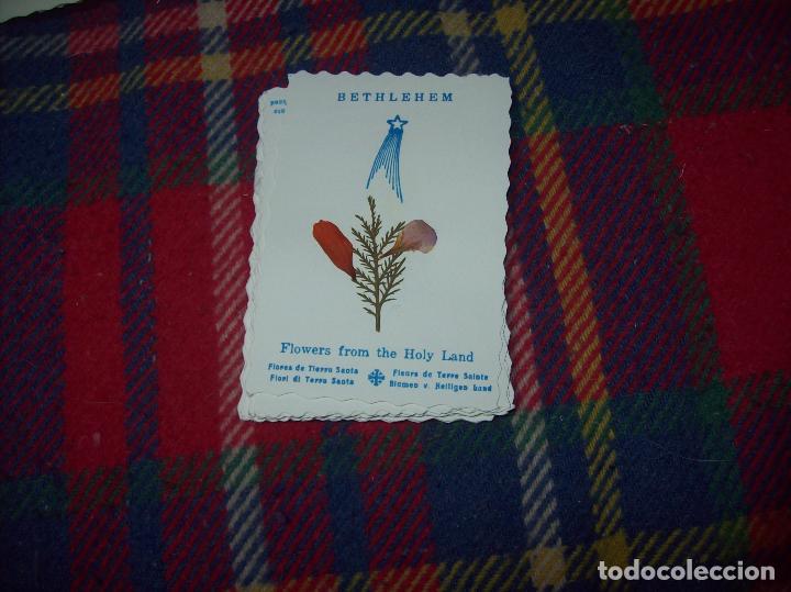 Cartoline: FABULOSA ESTAMPA TROQUELADA CON FLORES DE LA TIERRA SANTA. BEL&Eacute;N. VER FOTOS.
