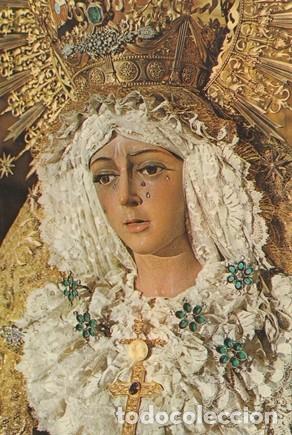 Cartoline: POSTAL - ESTAMPA N&ordm; 113 - NTRA. SRA. DE LA ESPERANZA MACARENA SEVILLA -ED J RODRIGUEZ C - 1966 NUEVA