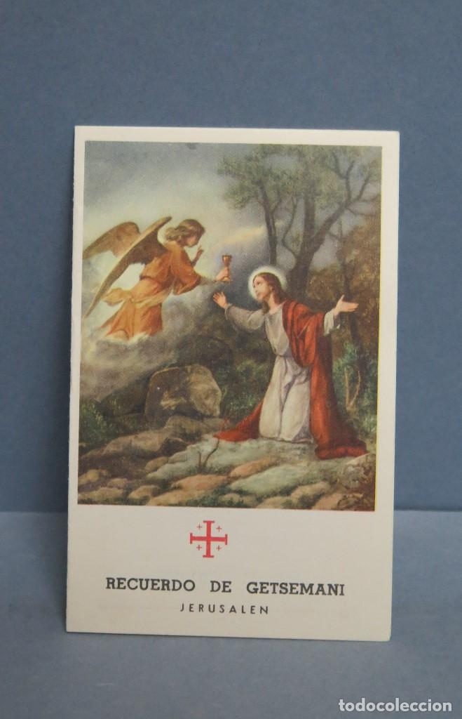 Cartoline: ESTAMPA. RECUERDO DE GETSEMANI. JERUSALEM. CON HOJA DE OLIVO