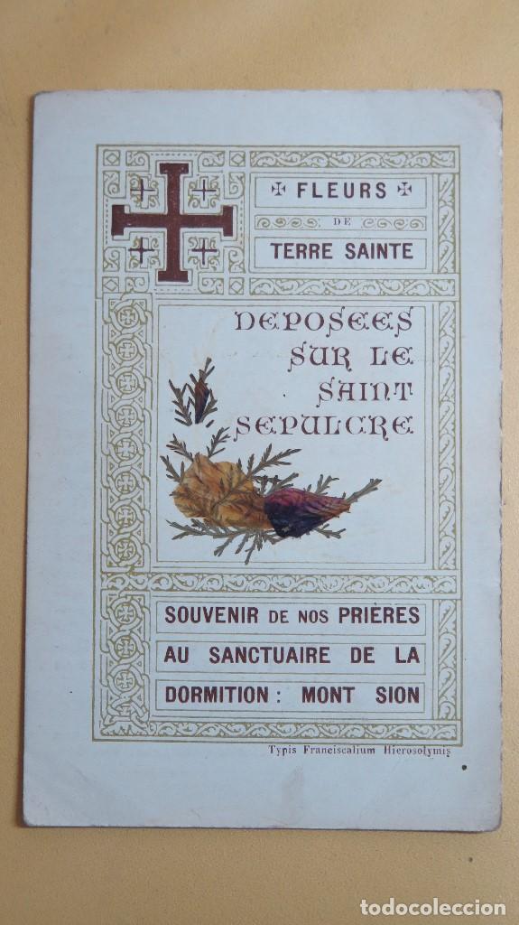 Postais: ESTAMPA. FLORES DE TIERRA SANTA. 1908