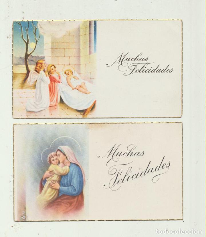 Postais: Lote de postales (6,5x11,5) dedicadas al dorso